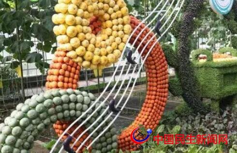 濰·觀精彩丨菜博會5號館：青蔬織美景 風情廊架游